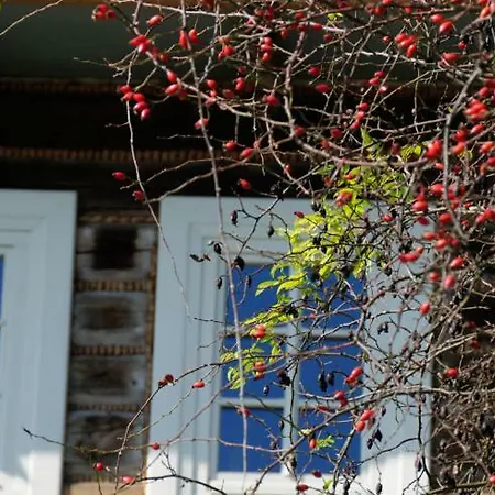 Kacza - Z Jacuzzi 빌라 *