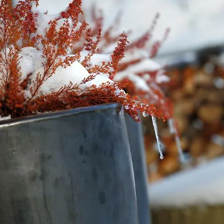 Kacza - Z Jacuzzi 빌라 *