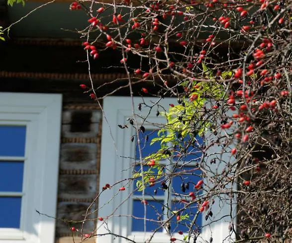 Kacza - Z Jacuzzi Villa *