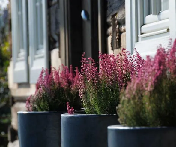 Kacza - Z Jacuzzi Villa