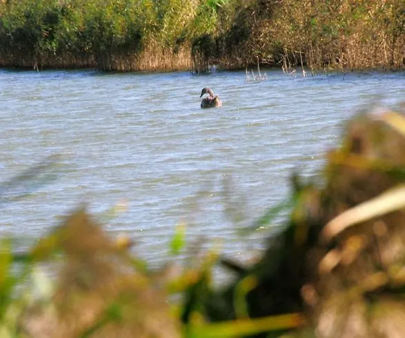 Kacza - Z Jacuzzi Cracovia