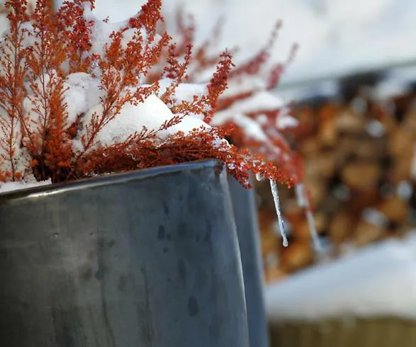 Kacza - Z Jacuzzi Villa *