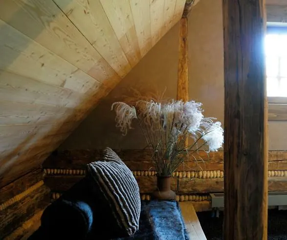 Villa Kacza - Z Jacuzzi *